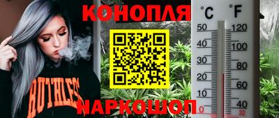 амф Будённовск