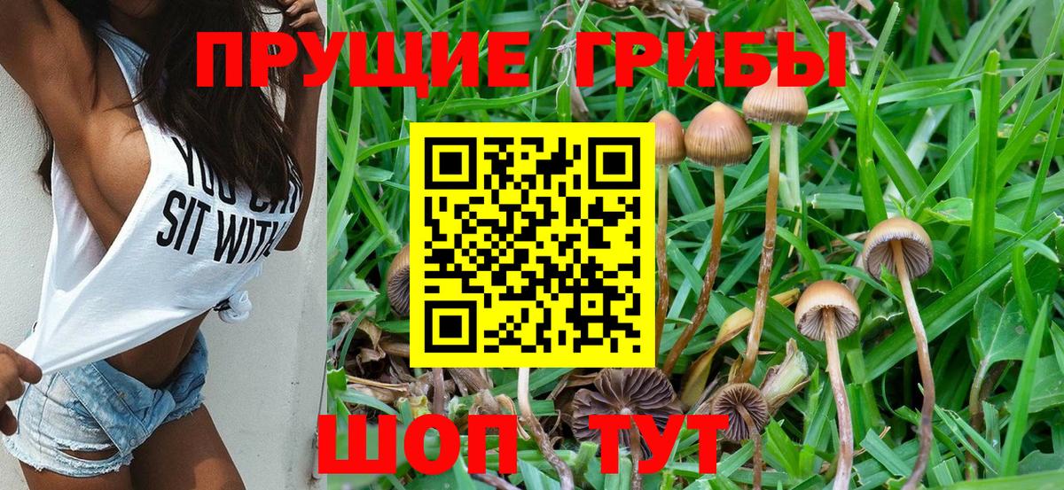 Галлюциногенные грибы Magic Shrooms Полевской
