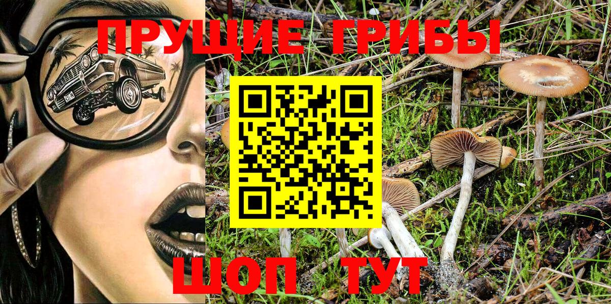 Полевской  Псилоцибиновые грибы Magic Shrooms  Вход с VPN  где можно купить   Псилоцибиновые грибы прущие грибы 